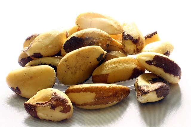 Brazil Nut - Paranuss